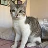 Jinx & Lexi suchen ihre Familie