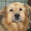 Sanfte, liebe Alicia sucht ihre Familie