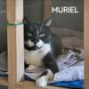 Muriel wartet schon sooo lange!