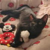 Käthe sucht DICH