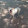 Lucy`s Besitzer sind leider verstorben
