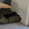 Sonia sucht ein Sofa mit Ausblick