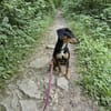 💕Maya💕 sucht sportliches Zuhause