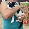 Charlie sucht ein schönes Zuhause