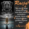 Die liebe 💕Raija 💕sucht ihre Menschen
