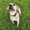 SUNNY  Kämpferherz sucht Ankerplatz
