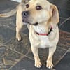 SUNNY  Kämpferherz sucht Ankerplatz