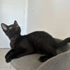 MANOLO