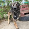 Amal sucht sein Zuhause