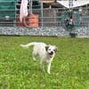 Smartie auf der Suche