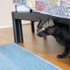 Batman sucht sein Für-Immer-Zuhause