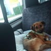 Liebevoller Bernd sucht seine Familie