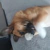 Liebevoller Bernd sucht seine Familie
