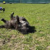 Betty auf Pflegestelle