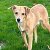 Carlos, unser Blondie