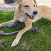 Carlos, unser Blondie