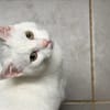 MINETTE