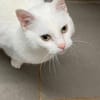 MINETTE