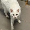 MINETTE