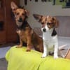 ✨ Clein  kleiner Schatz sucht