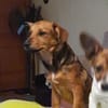 ✨ Clein  kleiner Schatz sucht