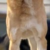 Aranel : Grosser Schatz sucht Kuschelpla