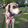 Nalla  kleine Lady sucht großes Glück!