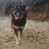 Anjolie sucht ein wenig halt