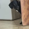 Five sucht seine Herzensmenschen 🐾