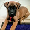 NALA, la magnifique rescapée