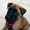 NALA, la magnifique rescapée