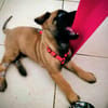NALA, la magnifique rescapée