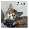 ATINA   A RESERVER