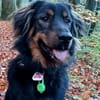 EMIL - verliert sein Zuhause, in Witten!