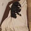 Eros sucht ein Zuhause