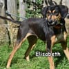 ELISABETH
