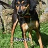 ELISABETH