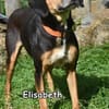 ELISABETH