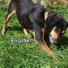 ELISABETH