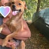 Helia, klein, zart sucht Körbchen