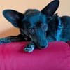 Flixy wartet auf Dich!