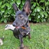 Flixy wartet auf Dich!