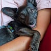 Flixy wartet auf Dich!