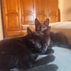 Datil et Trufa