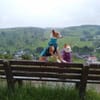 Janosch - sucht ein Zuhause für immer