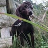 100% iger Familienanschluss gesucht