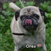 OREO