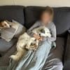 Charlie sucht liebevolle Hundekenner❤