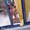 TWEET