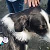 Gustav sucht sein Traum-Zuhause!